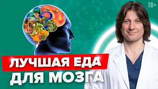 Вещество № 1 для мозга. Как улучшить память и работу мозга