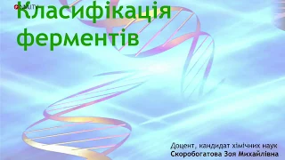 Лекція з біологічної хімії: Класифікація ферментів