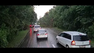 Видео вайбер "ДТП и дороги". Рухнувшее дерево перекрыло трассу Первомайск-Южноукраинск