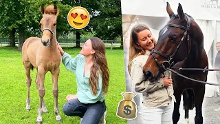 HEEL VEEL VEULENTJES & PAARD op de VEILING voor €52.000?! | felinehoi VLOG #572