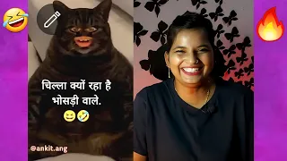 Bagad Billa | Animal Video Funny Cat | Bagad Billa New Video | REACTION | SWEET CHILLIZ 2.0 |