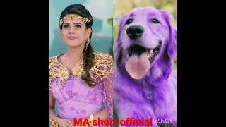 ❤❤Baal veer return all pari dress match dog❤❤#beautiful #status #ytshorts #Ma short official