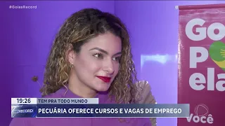 PECUÁRIA OFERECE CURSOS E VAGAS DE EMPREGO