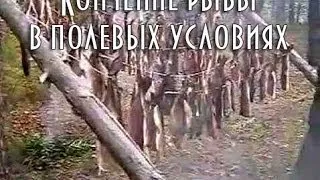 ХОЛОДНОЕ КОПЧЕНИЕ РЫБЫ В ПОЛЕВЫХ УСЛОВИЯХ, ЛЕНОК И ХАРИУС, старинный способ