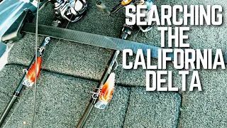 Searching for Bass on the California Delta - MLF Practice Day 2