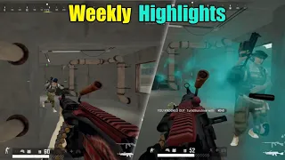 Weekly Highlights #2 | Frogman1, DrasseL, Alisa, TGLTN