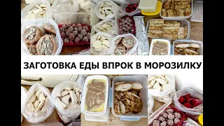 Полуфабрикаты в морозилку! Заготовка еды впрок! Бюджетные, блюда для семьи на неделю! Wollmer T1000.