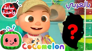 أين هامستري؟ | CoComelon Arabic - Lost Hamster Song 🐹| كوكوميلون أغاني للأطفال | اغاني اطفال