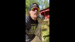 Baby Camel Goes Toward Guy When Called by His Name