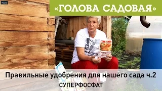 Голова садовая - Правильные удобрения для нашего сада ч.2 (Суперфосфат)