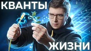 Невидимая связь всего живого | Безумные научные идеи #5