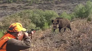 DEV AZILI YABAN DOMUZU AVI / GIANT MONSTER WİLD BOAR HUNTİNG - HOG HUNTİNG , PİG HUNTS