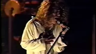 Jimmy Page and Robert Plant - In The Evening (live in Detroit 1995)