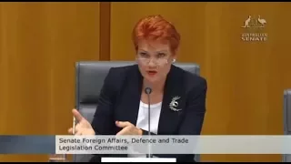 Pauline Hanson asks if pump-jet submarines can only stay underwater for 20mins