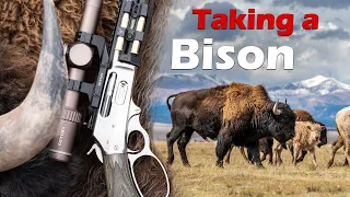 Taking a Buffalo with the Marlin 1895 SBL 45-70