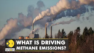 What is driving methane emissions? US government data shows the grim reality | WION Climate Tracker