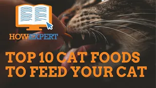 HowExpert Top 10 Cat Foods to Feed Your Cat & Lessons