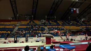 MOERZ Alissa (AUT) - 2018 Artistic Worlds, Doha (QAT) - Qualifications Vault 1