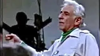 Leonard Bernstein (1982) | Elgar: Enigma Variations