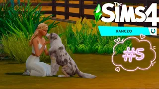 💚 The Sims 4 💚 Ranczo #5 "Dostaliśmy kosza" 💜Link do Discorda w opisie 💜