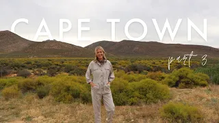 CAPE TOWN PT. 3 | safari, aquila game reserve, south africa travel vlog | Kelsey This Year