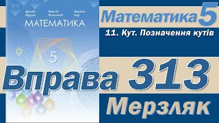 Мерзляк Вправа 313. Математика 5 клас