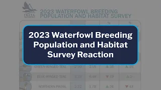 2023 Waterfowl Breeding Population and Habitat Survey Reaction