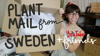 UNBOXING PLANT MAIL FROM SWEDEN & YOUTUBE FRIENDS!