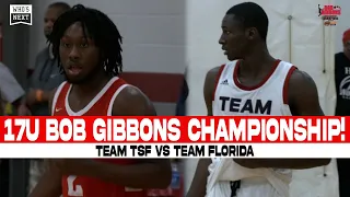 Bob Gibbons Championship! 17U Team TSF vs. Team Florida HIGHLIGHTS 💥