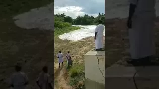 Watch how the River Cauvery is arriving into a village called Mayavaram TN...such a beautiful sight.