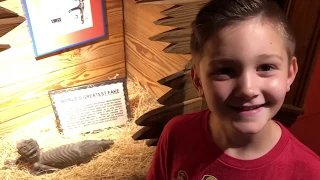 Florida Boy visits Ripley’s St. Augustine