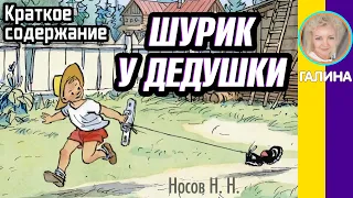 Краткое содержание Шурик у дедушки. Носов Н. Н. Пересказ рассказа за 3 минуты