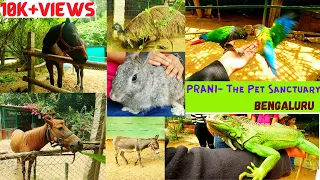 Prani- Interactive Pet Sanctuary| One day outing in Bangalore for kids| Guided Tour| Karnataka