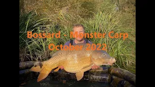 Carp Fishing in France - 7 Days at Bossard Lake