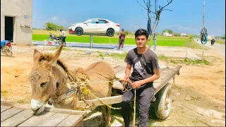 _Horse 🐴 riding wajid naik 😲 Dar Lagraha Tha 😱_