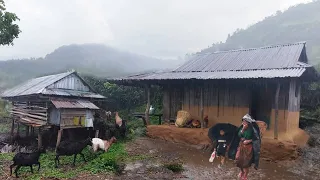 Mountain Village Life in Heavy Rain | Walk in Rainy Day | Explore My Local Village