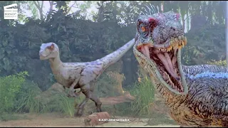 Jurassic Park III: The raptor eggs (HD CLIP)