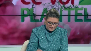 CE VOR PLANTELE CHRISTINA GHIBU 22.04.2024 P1