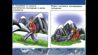 1 Лекции по патофизиологии ПАТОГЕННОЕ ДЕЙСТВИЕ ФАКТОРОВ ОКРУЖАЮЩЕЙ СРЕДЫ НА ОРГАНИЗМ ЧЕЛОВЕКА часть2