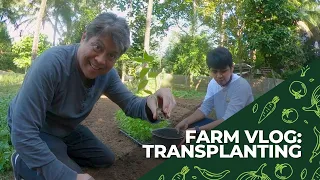 Farm Vlog ni Kiko - 'Tender Loving Care' sa pag-transplant ng mga tanim