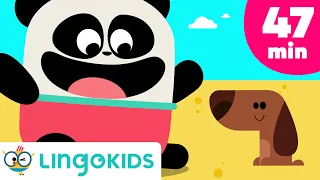 BINGO THE DOG 🐶 More Popular Songs for Kids | Lingokids