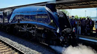 60007 Sir Nigel Gresley - Taunton - 3 June 2023 - Steam train