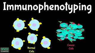 Immunophenotyping | Flow Cytometry & Immunophenotyping Test |