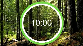 10 Minute Forest Background Timer | 10 Minute Forest/Nature Background Countdown Timer