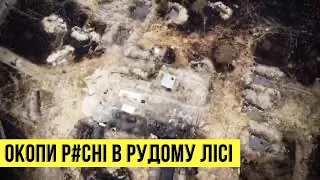 Це правда! Окопи росіян у Зоні відчуження - відео з дрона