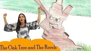 Stories for Kids | The Oak Tree and The Reeds Story