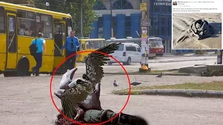 7 Mysterious Creatures Caught On Camera & Spotted In Real Life #2