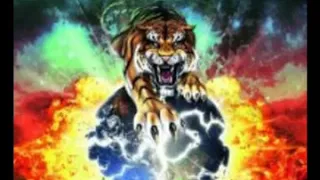 Tygers Of Pan Tang - The Devil You Know