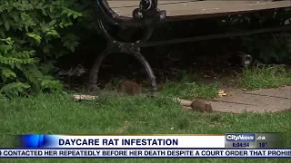 Community centre playground shut down over rat infestation