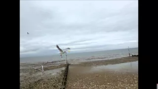 Hunstanton Roadtrip